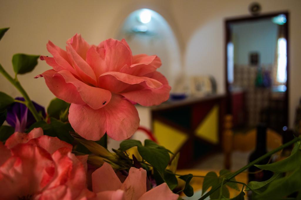 Agathi House Case de vacanță *
