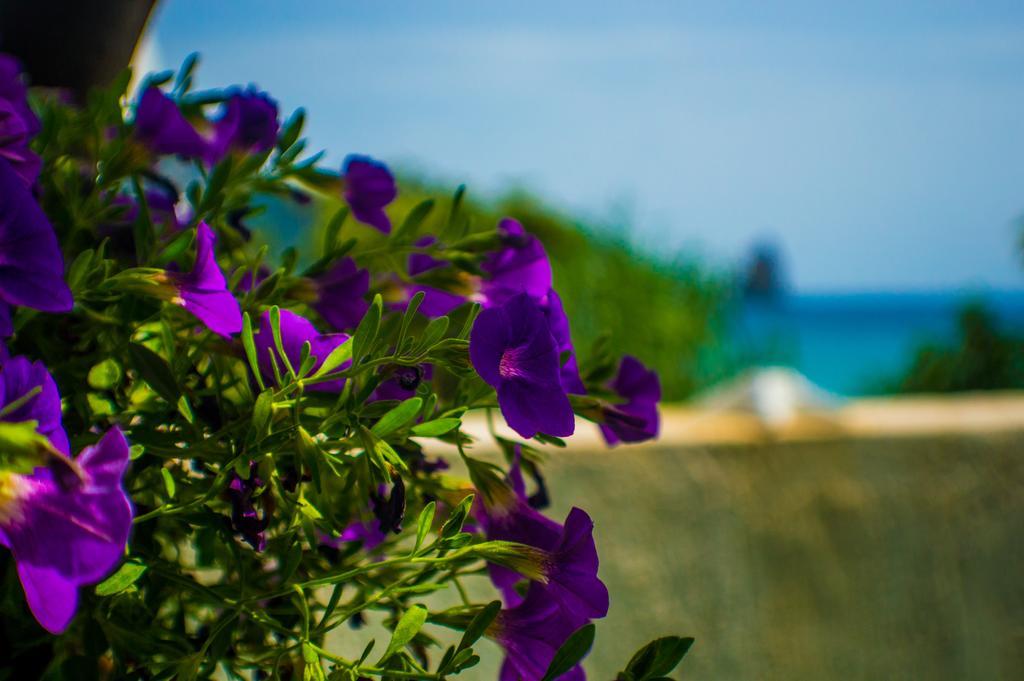 Agathi House * Agios Gordios (Corfu)