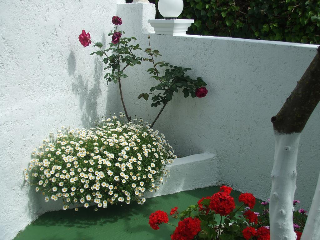 Agathi House